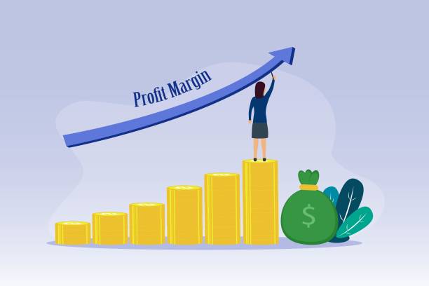 financial ratios